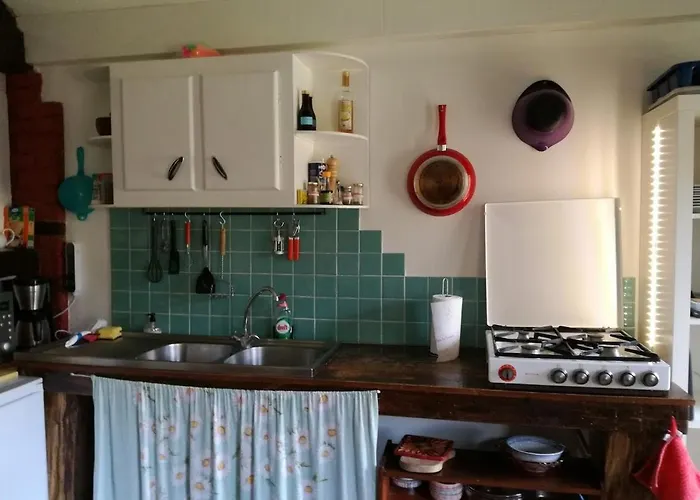 Harry\'S Place